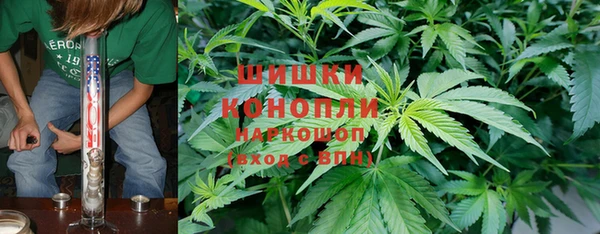 амф Володарск