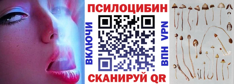 Псилоцибиновые грибы Psilocybe  Черкесск 
