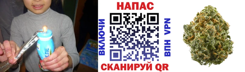 Канабис OG Kush  Черкесск 